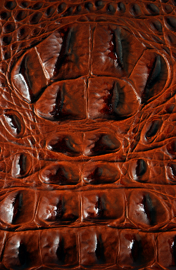 mplg ltd chrome embossed leather